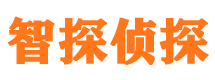 方正外遇调查取证